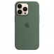 MN673ZM/A Apple Silicone Magsafe Cover for iPhone 13 Pro Eucalyptus