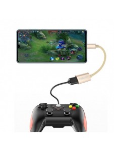 Dudao adapterkabel OTG USB 2.0 till USB Typ C grå (L15T)