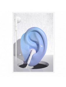 Dudao hörlurar med kabel USB Type C 1,2 m vit (X3B-W)