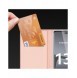 Dux Ducis Skin Pro-fodral för Xiaomi 13 Lite Flip Card-plånboksställ guld