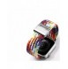 Dux Ducis-rem (Mixture II-version) Apple Watch Ultra, SE, 9, 8, 7, 6, 5, 4, 3, 2, 1 (49, 45, 44, 42 mm) flätat armband regnbå