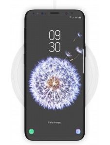 Belkin Boost Up Wireless Charging Pad - Vit
