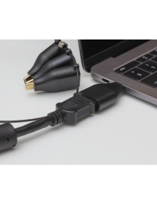 USB-C manlig till mini DisplayPort (1080p) kvinnlig ada.