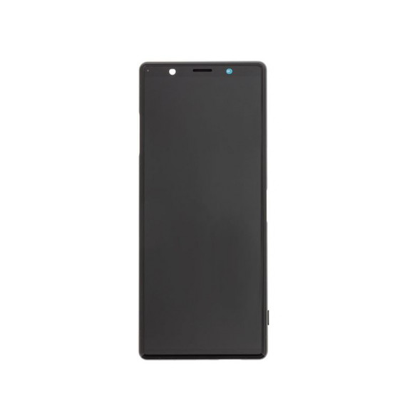 LCD-display + Touch Unit + Framsida Sony Xperia 5 II - Blå (Service Pack)