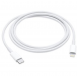 iPhone Lightning / Type C Adapter MQGJ2ZM / A - Vit