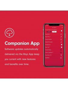Pioneer Rayz Lightning-Powered Noise Cancelling Earphones with Smart Button and Companion App - Onyx