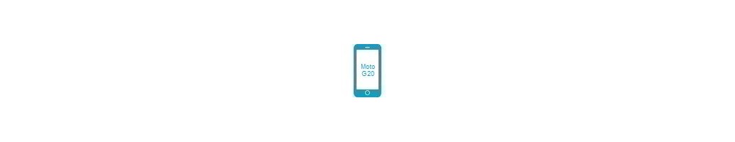 Tillbehör för Moto G20 från Motorola