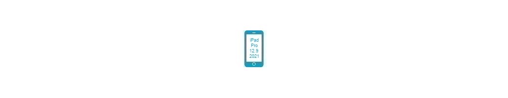 Tillbehör för Pro 12.9 (2021) från iPad