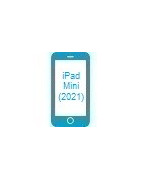 iPad Mini (2021) Tillbehör