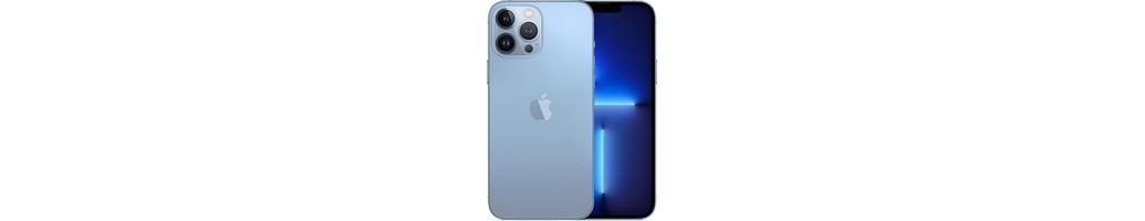 iPhone 13 Pro Max Tillbehör